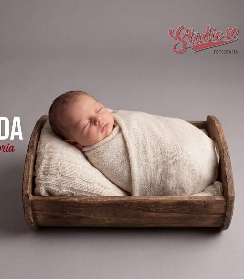 Ciclo de Vida
